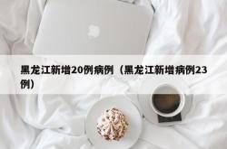 黑龙江新增20例病例（黑龙江新增病例23例）
