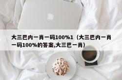 大三巴内一肖一码100%1（大三巴内一肖一码100%的答案,大三巴一肖）