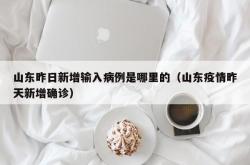 山东昨日新增输入病例是哪里的（山东疫情昨天新增确诊）