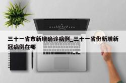 三十一省市新增确诊病例_三十一省份新增新冠病例在哪